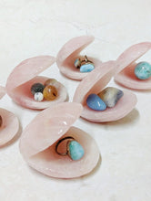 Load image into Gallery viewer, Rose Quartz Clam Shell