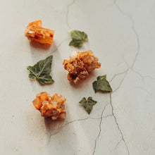 Load image into Gallery viewer, Aragonite Sputnik