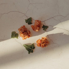 Load image into Gallery viewer, Aragonite Sputnik