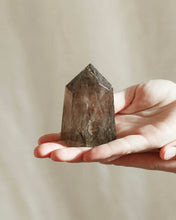 Load image into Gallery viewer, Smoky Inclusion Quartz with Rutile
